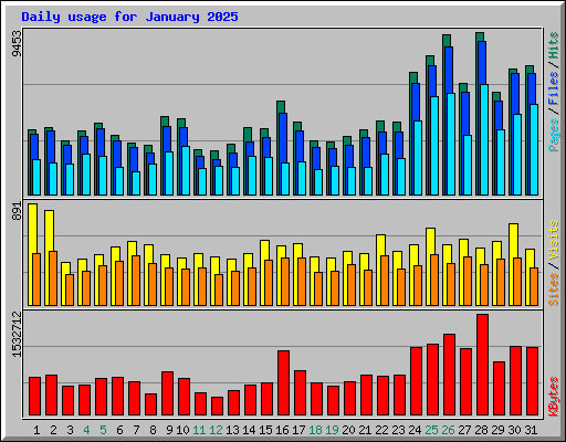 Daily usage for January 2025