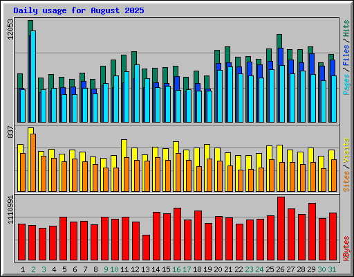 Daily usage for August 2025