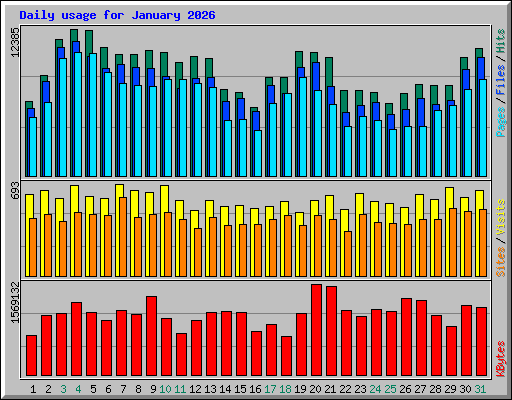 Daily usage for January 2026