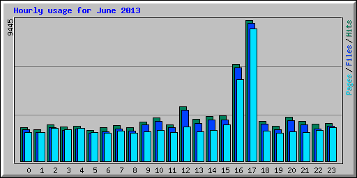 Hourly usage for June 2013