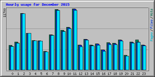 Hourly usage for December 2015