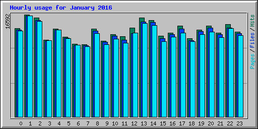 Hourly usage for January 2016