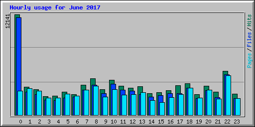 Hourly usage for June 2017