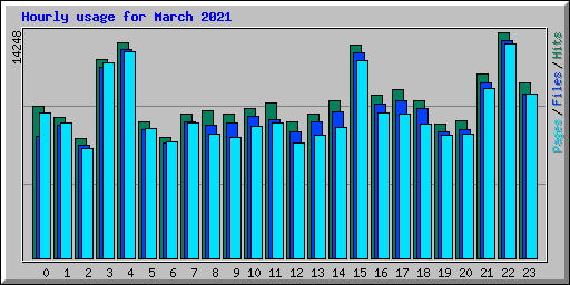 Hourly usage for March 2021