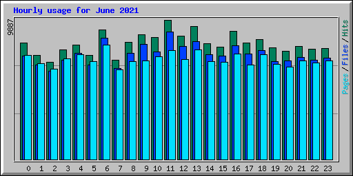 Hourly usage for June 2021