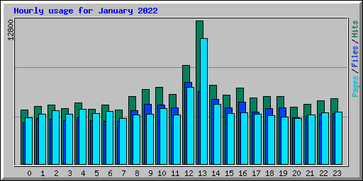 Hourly usage for January 2022
