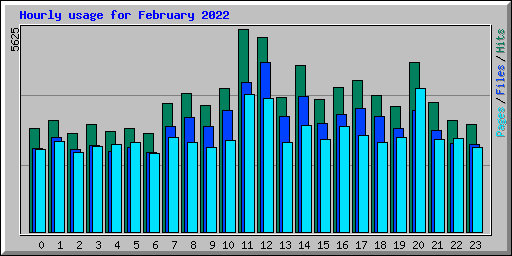 Hourly usage for February 2022