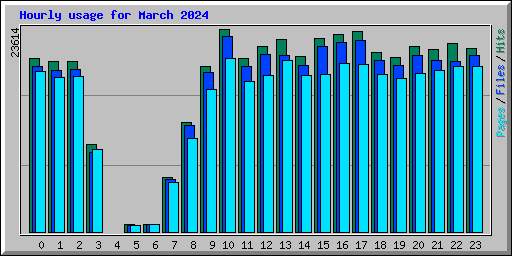 Hourly usage for March 2024