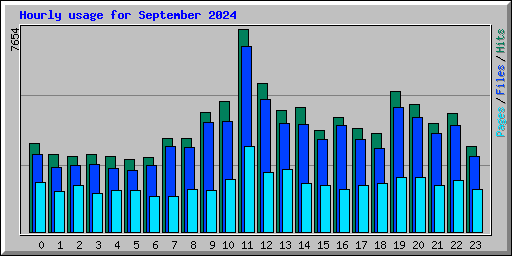 Hourly usage for September 2024