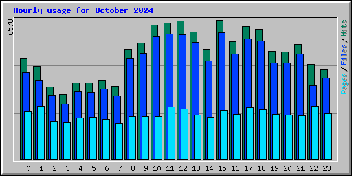 Hourly usage for October 2024