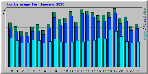 Hourly usage for January 2025