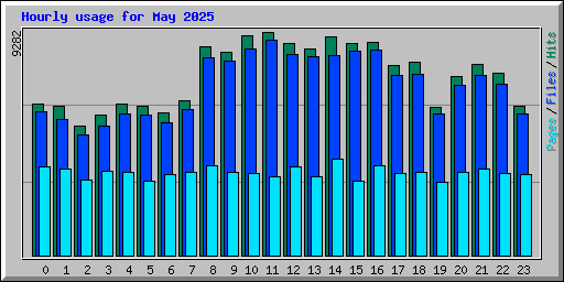 Hourly usage for May 2025