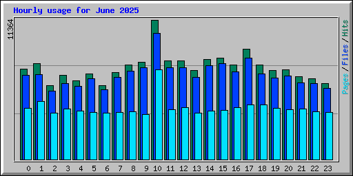 Hourly usage for June 2025