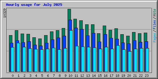 Hourly usage for July 2025