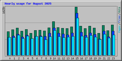 Hourly usage for August 2025