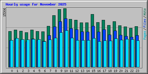 Hourly usage for November 2025