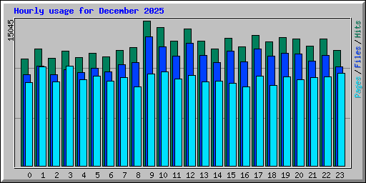 Hourly usage for December 2025