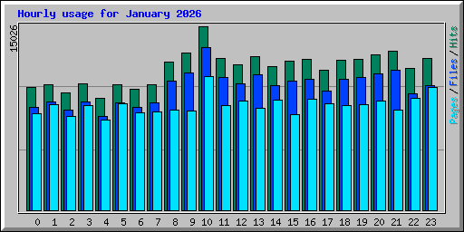 Hourly usage for January 2026