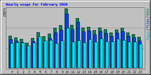 Hourly usage for February 2026