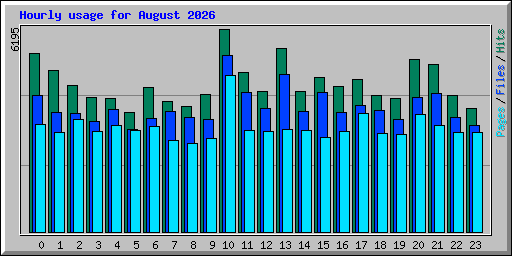 Hourly usage for August 2026